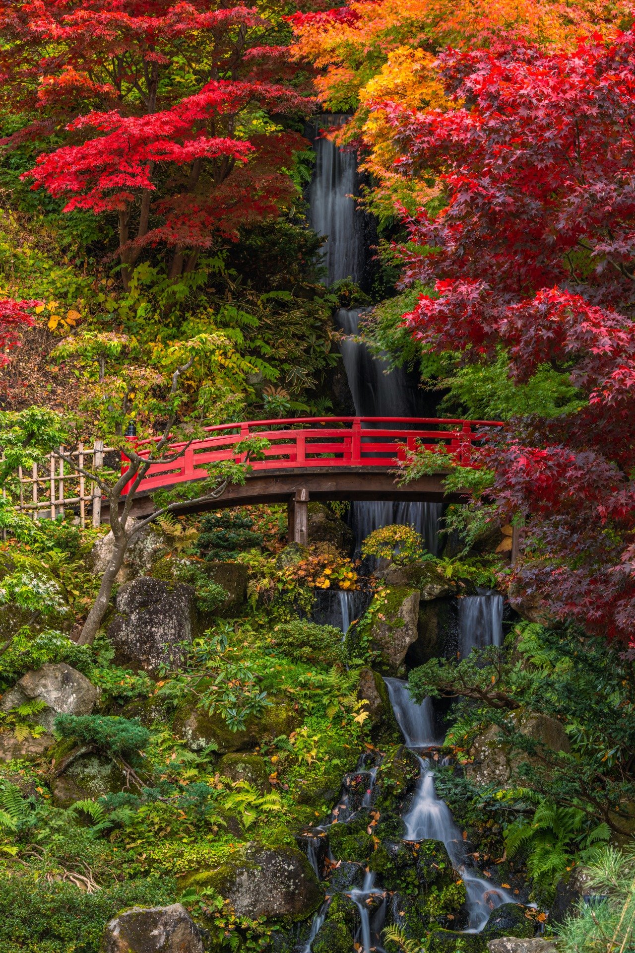 🌸 후지타 기념 정원(후지타키넨테이엔) 이미지 10